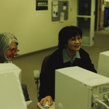 Employees Working at Computer