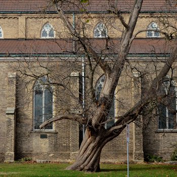 Grace Anglican Church Brantford 1.6