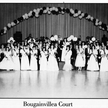 Bougainvillea Court, 1987