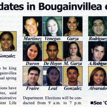 Bougainvillea Candidates, 2006: Part 01