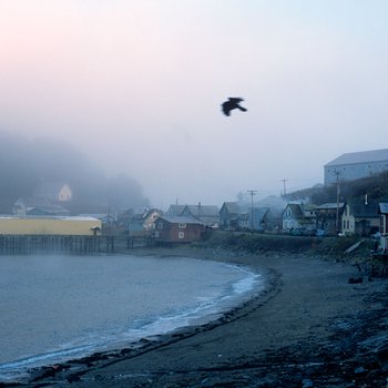 A bird takes flight over the waterfront of Angoon, Alaska, November 1, 2003