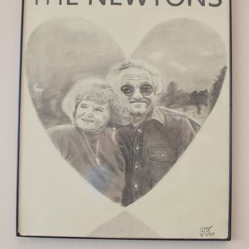 The Newtons