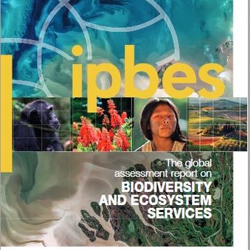 IPBES 2019. Global assessment report on biodiversity and ecosystem services - Full Document