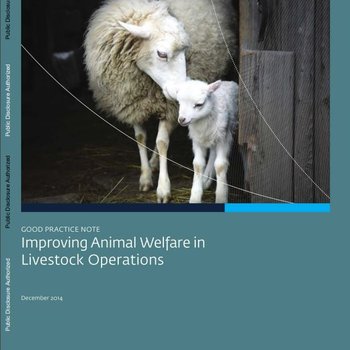 International Finance Corporation - Improving Animal Welfare in Livestock Operations