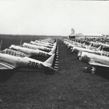 Melvin L Pape AT-6 Harvards on the Parking Line