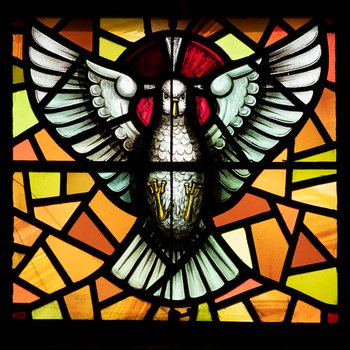 Detail, Dove from The Sacrament of Baptism and the Eucharist Window or James Memorial Windows
