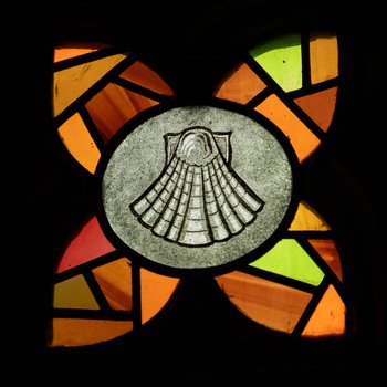 Detail, Shell from The Sacrament of Baptism and the Eucharist Window or James Memorial Windows