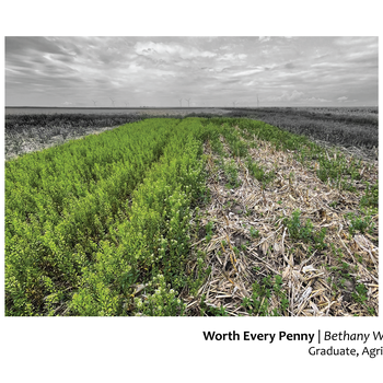 Worth Every Penny: Establishing Pennycress in Illinois Agricultural Systems