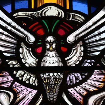 Detail, Dove from Dove of the Holy Spirit