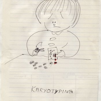 Karyotyping