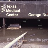 TMC Library Exterior Flood (1979)