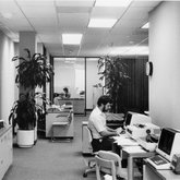 Library Interior Working (1985)
