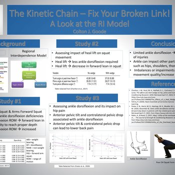 The Kinetic Chain - Fix Your Broken Link! A Look at the RI Model