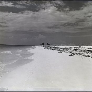 Beach shoreline, Freeport, Grand Bahama Island, Bahamas, A