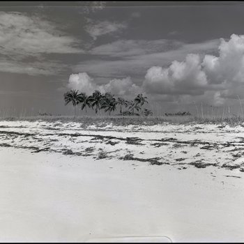 Beach scene, Freeport, Grand Bahama Island, Bahamas, A