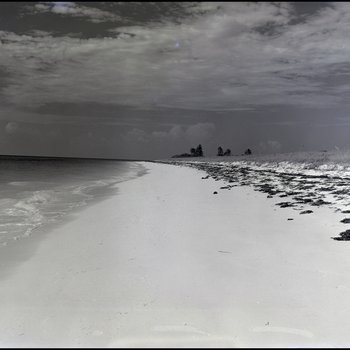 Beach shoreline, Freeport, Grand Bahama Island, Bahamas, B