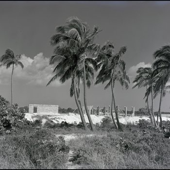 Construction site among palms, Freeport, Grand Bahama Island, Bahamas, A