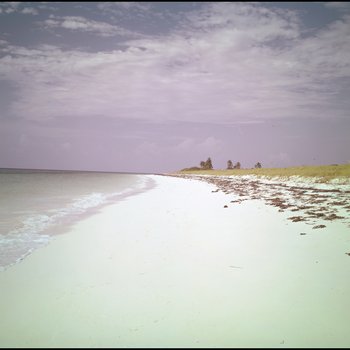 Beach shoreline, Freeport, Grand Bahama Island, Bahamas D
