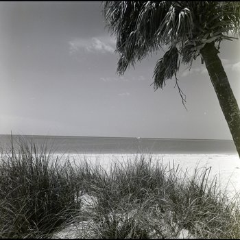 Beach scene, Freeport, Grand Bahama Island, Bahamas, E