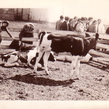 Long Trip 1936 Photo 8