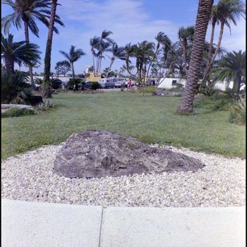 Entrance to Busch Gardens, Tampa, Florida, C