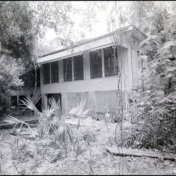 Backyard Area with Small Overgrown Pond at Vacant Biglow-Helms Mansion in Tampa, Florida, A