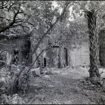 Carriage House Outside Vacant Biglow-Helms Mansion in Tampa, Florida, D