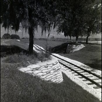 Two Trees Surrounded with Sandbags By Trans-Veldt Railway Tracks at Busch Gardens in Tampa, Florida, A