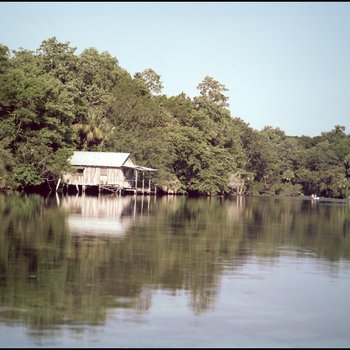 View of Riverbank Cabin, B