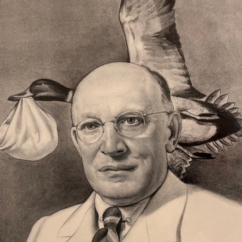 Portrait of John Dreyer, ca 1950