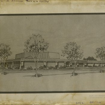 Architect Sketch