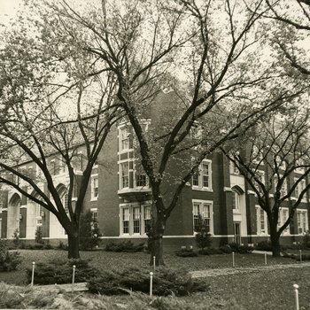 McCray from the Oval 4