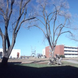 Carney Hall Razed