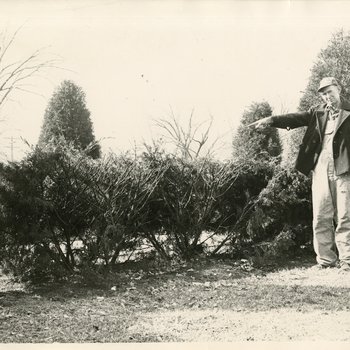 Groundskeeper, Undated