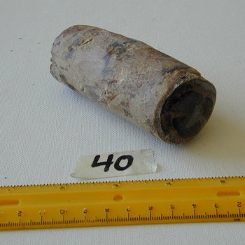 40:  Small Limb