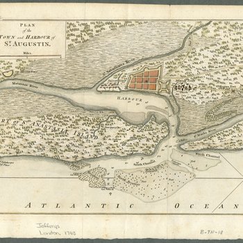 Plan of the town and harbour of St. Augustin