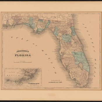 Johnson's Florida