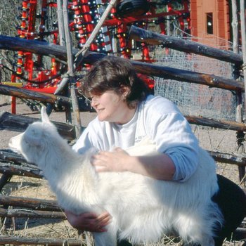 Long Trip 2003 Photo 1