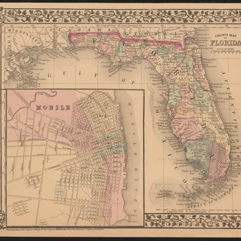 County map of Florida