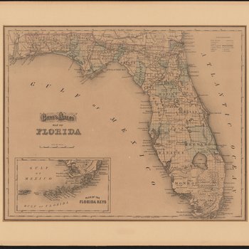Gray's atlas map of Florida