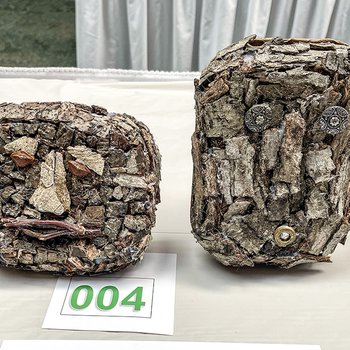 Twiggy Twin-Zees After the Storm, 2023