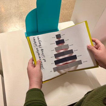 Revealing The Truth: Book View 2