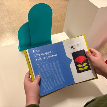 Revealing The Truth: Book View 4