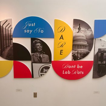 Revealing The Truth: Mural View 1