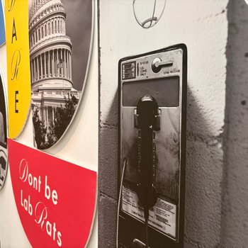 Revealing The Truth: Mural View 2