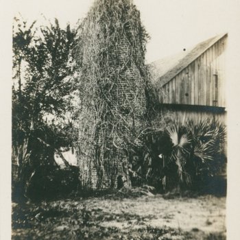 Ancient Spanish Chimney, Ponce de Leon Springs, Florida, 1904