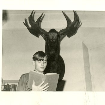 Moosehead