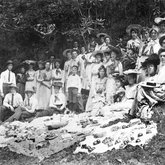 Picnic at Clark Springs