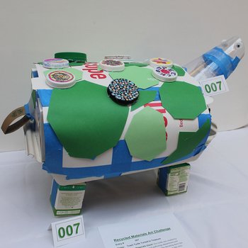 Trash Turtle Turned to Treasure, 2022