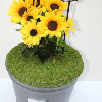 Butterfly Life, 2022